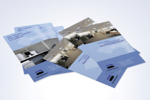 Листовка 100x210