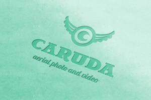 Логотип для студии аэрофотовидеосъемки