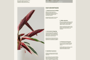 Дизайн сайта интернет-магазина FUTO