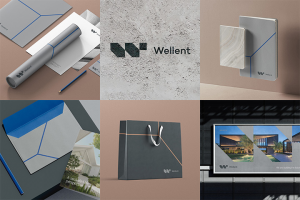 Wellent / Разработка бренда