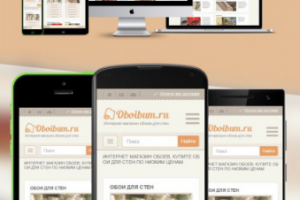 Адаптивный дизайн и верстка интернет-магазина