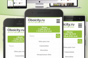 Адаптивный дизайн и верстка интернет-магазина