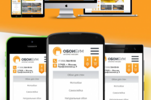 Адаптивный дизайн и верстка интернет-магазина