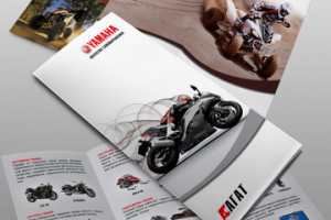 Дизайн триплета