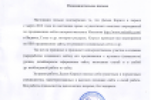 отзыв от www.melanika.com. SEO, реклама: Яндекс, Вконтакте