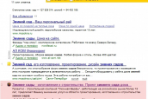 Запрос "зимний сад", 2 место Яндекс, Санкт-Петербург