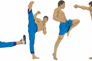 Ван Дам. Иллюстрации