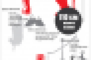 Векторная инфографика об Амурском тигре