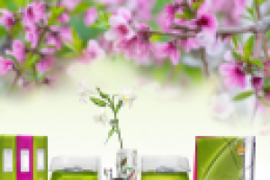 Коллаж для сайта neka-vip.ru