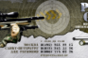 Шапка для интернет-магазина пневматических винтовок.