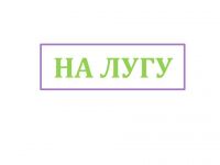 img3105284.png