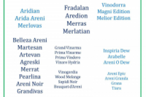 Название армянского вина (сорт Арени)