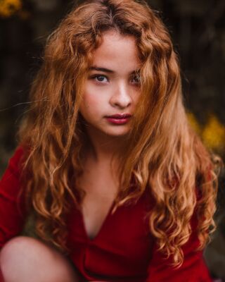 img4356204.png