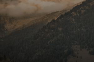 Открой Россию заново