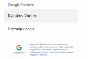 Google Partner c 2018 года