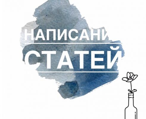 img3529076.png
