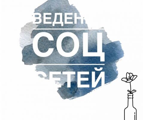 img3529077.png