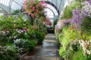 Жить в идиллии в снежную зиму, не замерзая