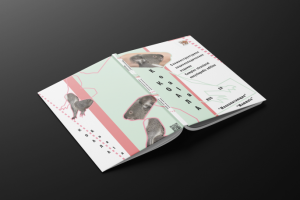 Энциклопедия про Коалу (многоязычная)