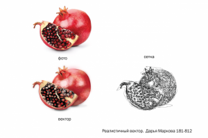 Фрукт как настоящий (нарисовано)