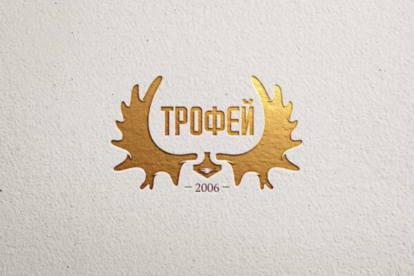 img3135945.png