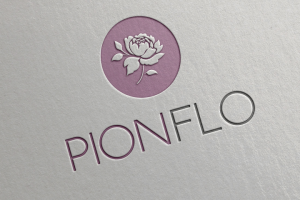 pionflo2