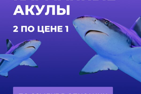 img4651104.png