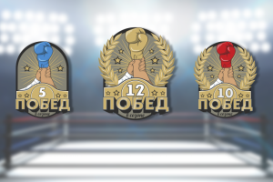 Награды для сайта "Лига бокса России"