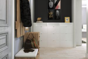 Прихожая Пушкино