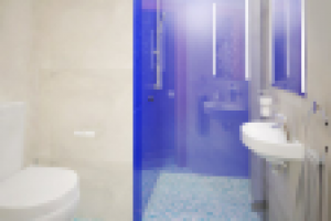 дизайн санузла при бассейне