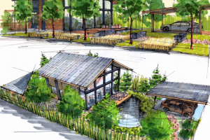 Ландшафт участка