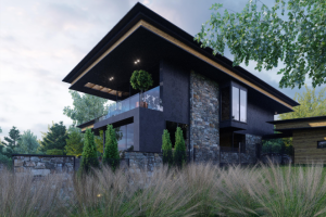 Дом под Киевом