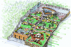 Ландшафтный дизайн частного участка