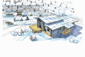 Ландшафтный дизайн частного участка