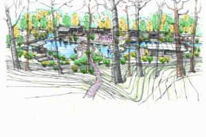 Ландшафтный дизайн частного участка