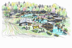 Ландшафтный дизайн частного участка