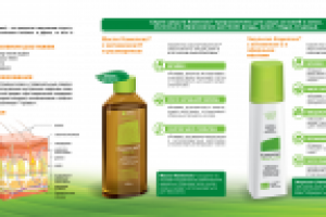 КАМЕЛОКС. Евробуклет (внутренняя)