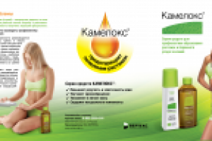 КАМЕЛОКС. Евробуклет