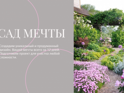 Сад мечты