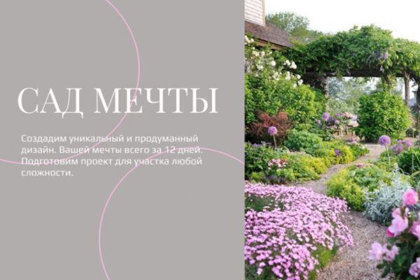 img4390253.png