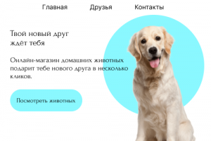 Интернет-магазин домашних животных