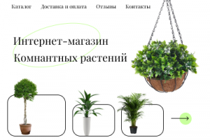 Интернет-магазин Комнатных Растений