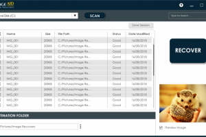 Восстановление удаленных данных (изображений)