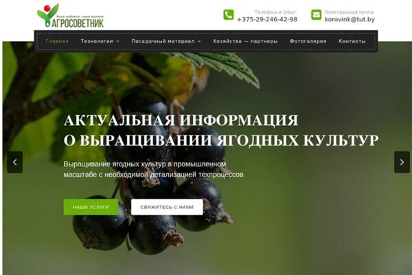 img3640211.png