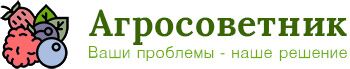 img3658548.png