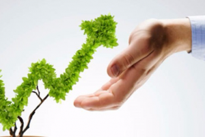 Инвестиционный вектор