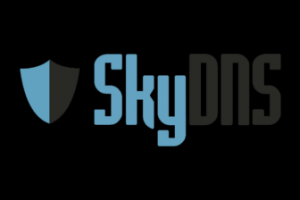 SkyDNS.Школа – интернет-фильтр, который многие недооценивали