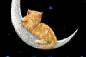 Спокойной ночи!