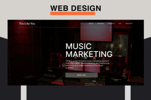 This is the Way - music marketing agency