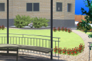Проект озеленения частной территории, визуализация